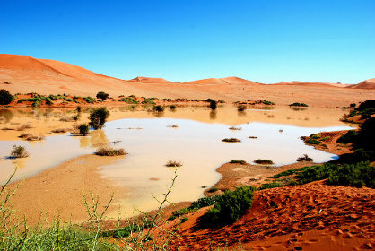 Deserto del Namib, Sossusvlei, Namibia
